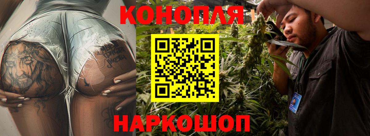 Каннабис сатива Прокопьевск